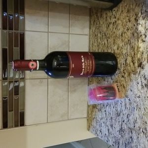 Vacuum wine stopper